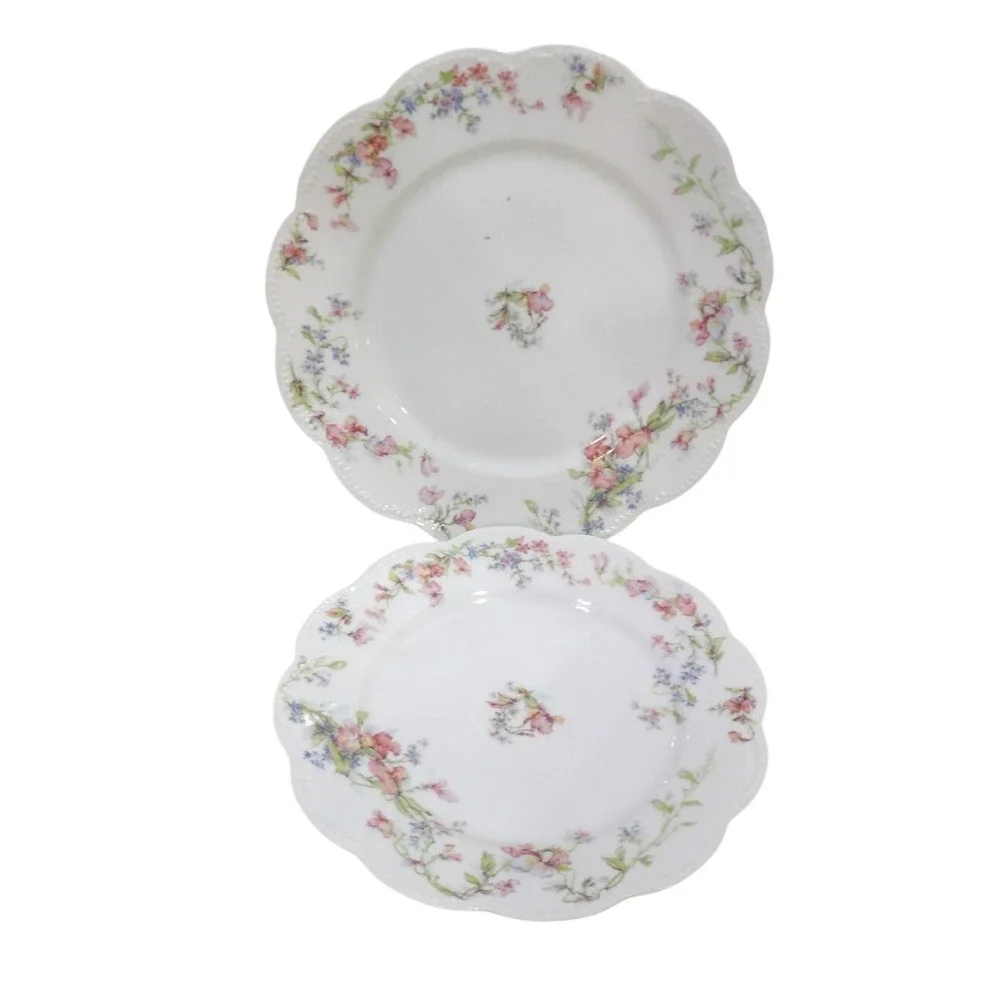 Haviland Limoges France Floral Scalloped Dinner Plates Set of 2 White Pink Blue